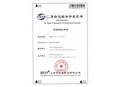 Certification for Safe Transport of Chemical Goods