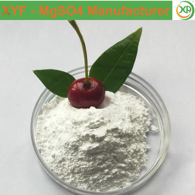 99% MgSO4 powder 80-120 mesh