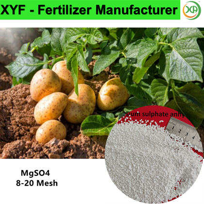 magnesium sulphate fertilizer benefits