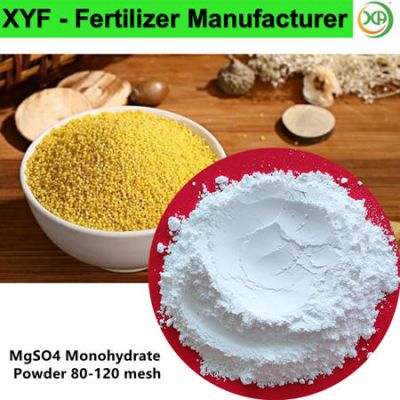 Magnesium sulphate monohydrate,Powder